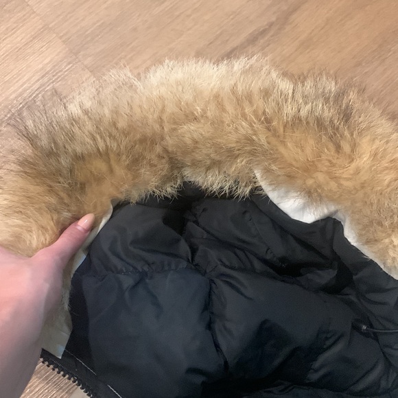 White Canada goose chilliwack bomber - Picture 3 of 6